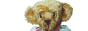 Binkley Bears