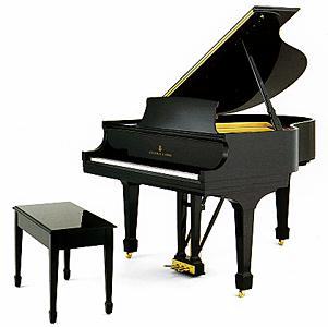 CLEAN THESE AND MORE: abel hammers,albrecht,altenburg,astin-weight,baldwin,bechstein,bentley,blondel,bluthner,bohemia pianos,bosendorfer,boston piano,john broadwood,chappell,chavanne,ciresa,cline piano,conn,estonia piano,everett,fandrich,fazioli,feurich,fletcher newman,august forster gmbh,grotrian,haessler,hallet davis,hofmann scholz,heckscher,hyundai,ibach,kawai,kemble,kingsburg,knabe,krakauer,alfred knight,laoureux felt,mason hamlin,muzelle,niemeyer,pearl river,petrof,pleyel,pramberger,renner,royale,,samick piano,carl sauter,schimmel,schultz,schulze pollmann,seiler,shingeru-kawai,george steck,steingraeber,steinway,stuart,tetsch may,charles walter,weber piano,welmar,whelpdale maxwell codd,woodchester,wurlitzer,yamaha,thomaston georgia,young chang